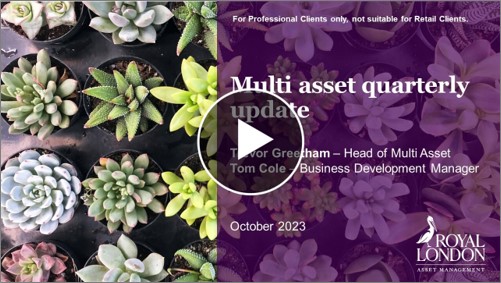  Image of a video still; click to launch the video