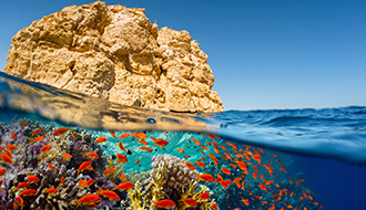 330x190pxClimateChange-Secondary-shutterstock_224716426.jpg