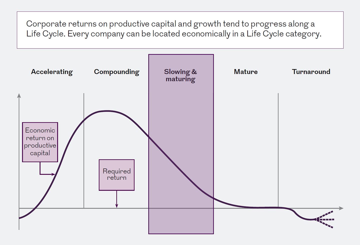 Life Cycle framework highlighting slowing & maturing