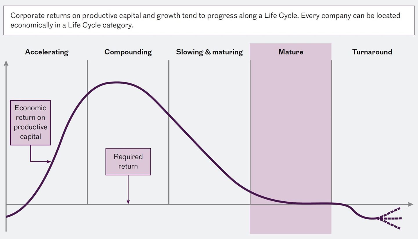 Corporate Life Cycle - Mature.jpg