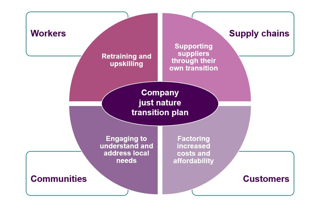 Considerations for a company’s just nature transition plan.jpg